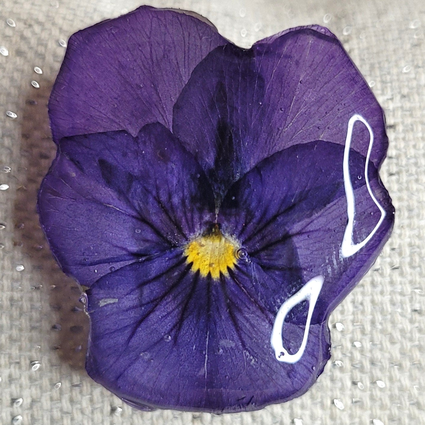 Broche Pensée